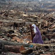 Indonéský prezident Prabowo Subianto po příjezdu na Severní Sumatry řekl: „To nejhorší už snad máme za sebou.“ Záběry ze zasažených oblastí ukazují poničené silnice, převrácené automobily nebo trosky odnesené povodňovou vodou, jak se hromadí podél silnic.