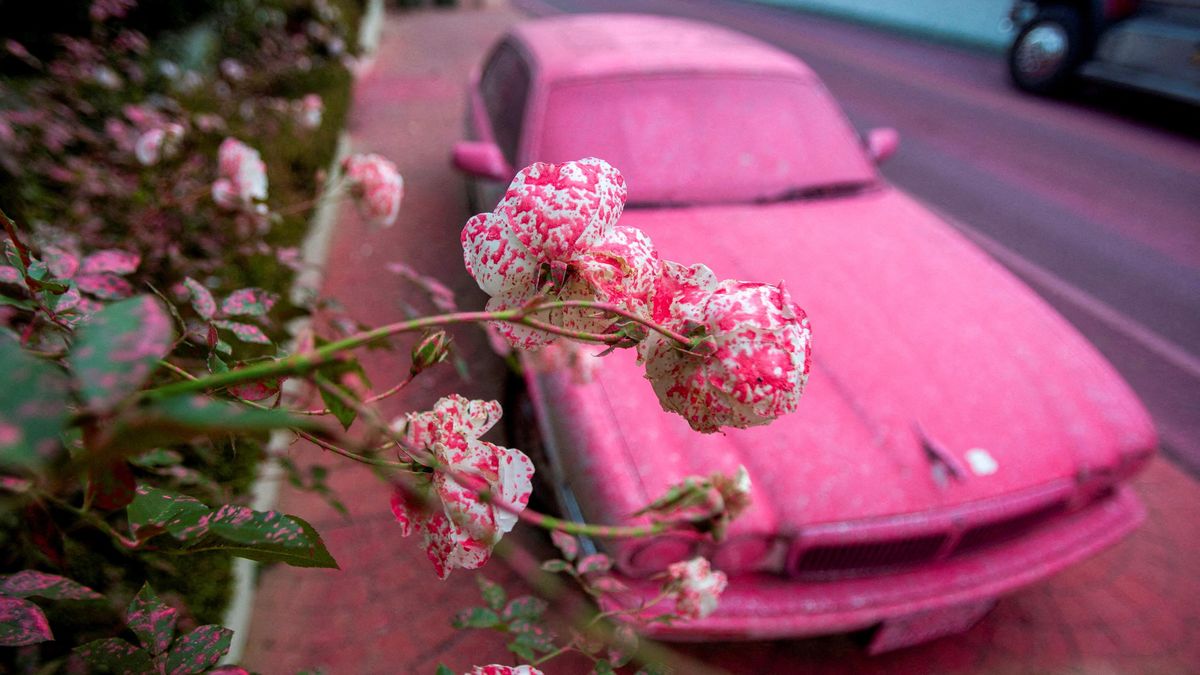 Svět na fotografiích. Takový byl rok 2025