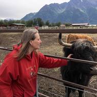 Oblíbeným zvířetem je skot dovezený z náhorních plošin Skotska.