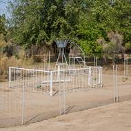 Saxaul pomáhá zadržovat písek, zlepšuje vlhkost půdy a slouží také jako přírodní bariéra pro domy. Používá se i k ochraně hlavního města Ašchabadu, kde „ekologičtí aktivisté vysadili více než 50 hektarů saxaulu na okraji pouště“, jak popsal Merdan Arazmedov z Turkmenské společnosti na ochranu přírody. „Nyní už silnice do hlavního města není pokryta pískem, doprava plynule proudí a počet nehod se snížil.“