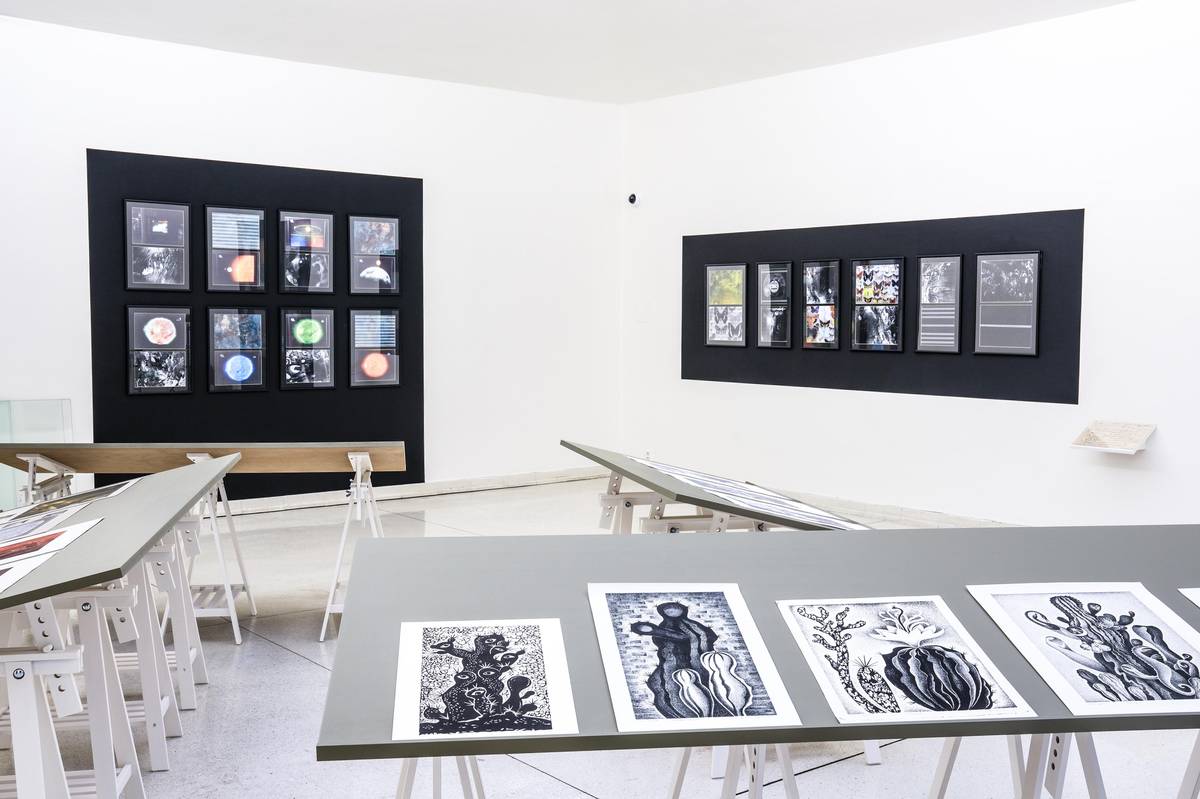 Moravská galerie v Brně otevřela dvojici výstav, které potrvají do příštího února. Ta první představuje díla Květoslavy Fulierové.