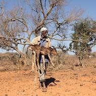 Přes dva miliony lidí čelí ve 23 okresech zhoršující se potravinové nejistotě poté, co v období od října do prosince nepřišly obvyklé krátké deště a srážky byly dvě třetiny pod průměrem.