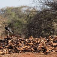 „Snažili jsme se utéct a najít lepší místa, ale neuspěli jsme,“ řekl agentuře AFP.