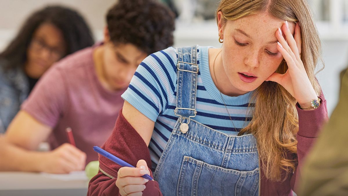 Přehledně: Jakou vybrat střední školu? Projděte si všechny možnosti