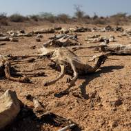 Region je na pokraji vyhlášení nouzového stavu kvůli nedostatku vody.