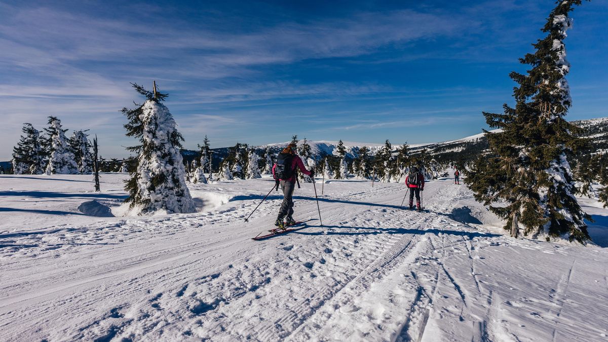 Proč vyzkoušet skialpy? Jsou pro každého a vybavení je levnější než dříve