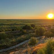 Rozvíjející se krajina ve vypuštěné Kachovské přehradě.