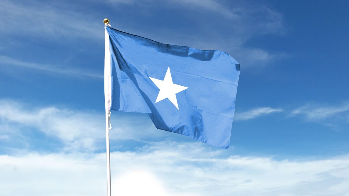 Somálsko ruší všechny dohody se SAE kvůli ohrožení národní suverenity