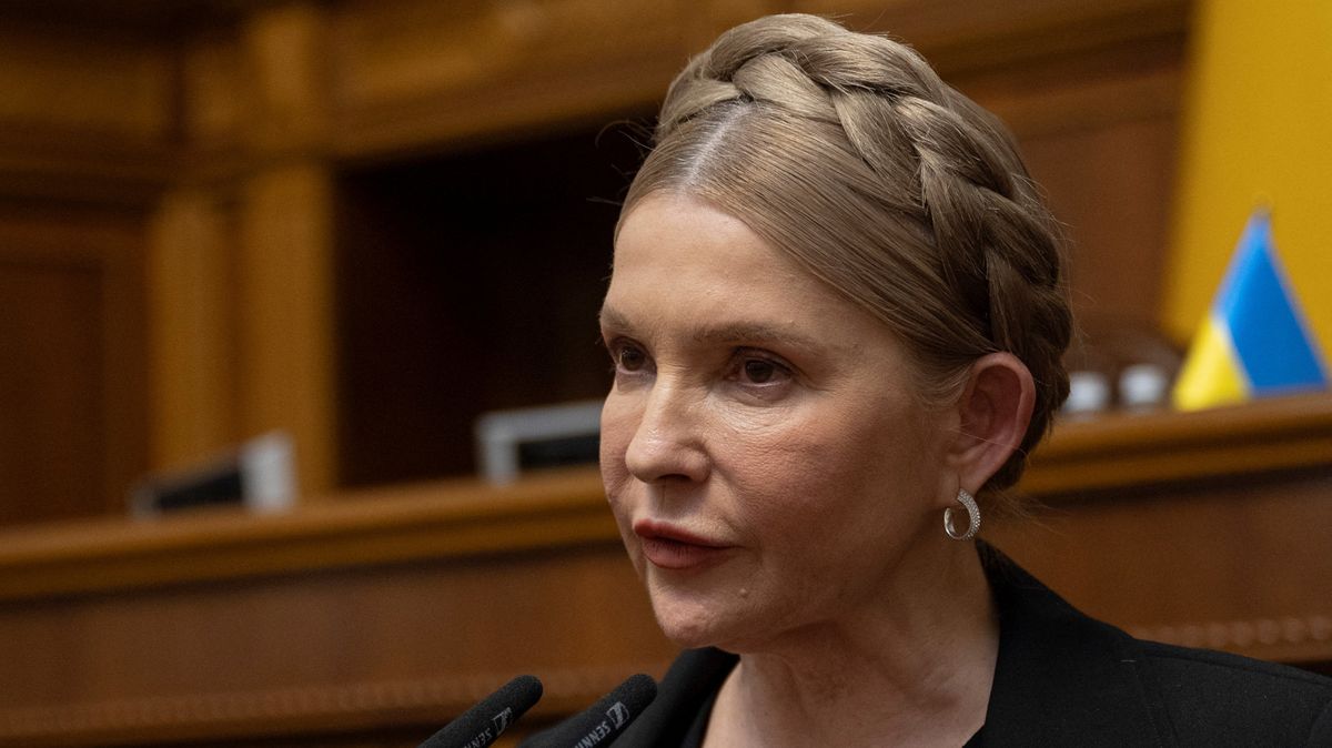 Právník k důkazům proti Tymošenkové: Překvapuje mě, jak si přišli nedotknutelní