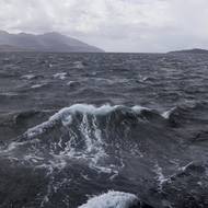 „Brunšvický poloostrov je mozaikou mořských, pobřežních a suchozemských ekosystémů,“ řekl Benjamín Caceres, koordinátor pro divokou zvěř z nadace Rewilding Chile.