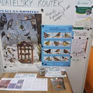 Ptačí hodinka 2026, ZŠ Bohutín u Šumperka.