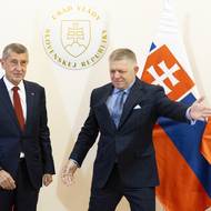 Politicky se Babiš s Ficem shodují hlavně na odporu k povinným migračním kvótám, kritice unijního Green Dealu a důrazu na národní suverenitu proti „diktátu Bruselu“. V otázce Ukrajiny se oba opírají o rétoriku míru, Česko ale zůstává v koalici ochotných a dál bude koordinovat muniční iniciativu.