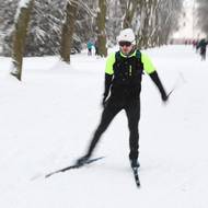 ... které se ale často kříží.