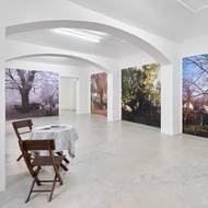 Nemám potřebu to přehánět, říká o své přítomnosti v galeriích konceptuální umělkyně Michaela Thelenová.