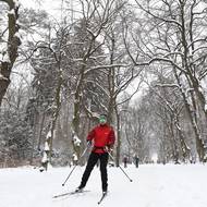 „Je tu snad celá Praha,“ dalo se zaslechnout v oboře.