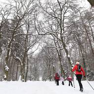 Do obory Hvězda během soboty zamířily stovky lidí.