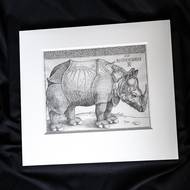 S největší pravděpodobností ho zakoupil v nějakém antikvariátu v roce 1958 někdejší ředitel Knihovny AV ČR. 