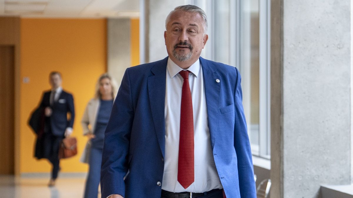 Bývalý advokát Miloše Zemana: Turek nemá s žalobou na Pavla šanci na úspěch