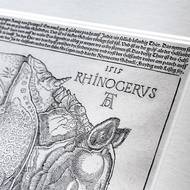 Dürerův podpis s datací. 