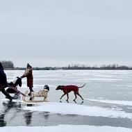 ...a někteří vyrazili jen na procházku po ledové ploše. S dětmi i domácími mazlíčky.