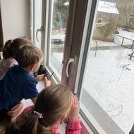 Ptačí hodinka 2026, ZŠ Bohutín u Šumperka.