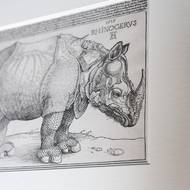 Nosorožec od Albrechta Dürera má nejen roh vpředu na hlavě, ale další mu rostou směrem k uším. 