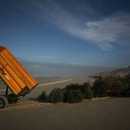 ONF se v oblasti snaží vysazovat původní druhy, jako je kamýš, který dokáže bezproblémově kolonizovat pohyblivé písky nebo pryšec pobřežní. 