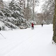 Hvězda je prošpikovaná běžkařskými trasami…