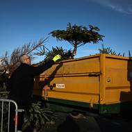 Městští pracovníci nakládají recyklované vánoční stromky na přívěs, aby je odvezli na pláž, 14. ledna v Carcans v jihozápadní Francii.