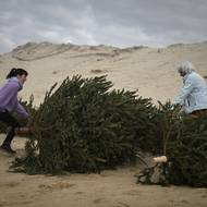 Aby se odvrátil ústup pevniny na úkor moře, stavějí lidé podél pobřeží bariéry. 
