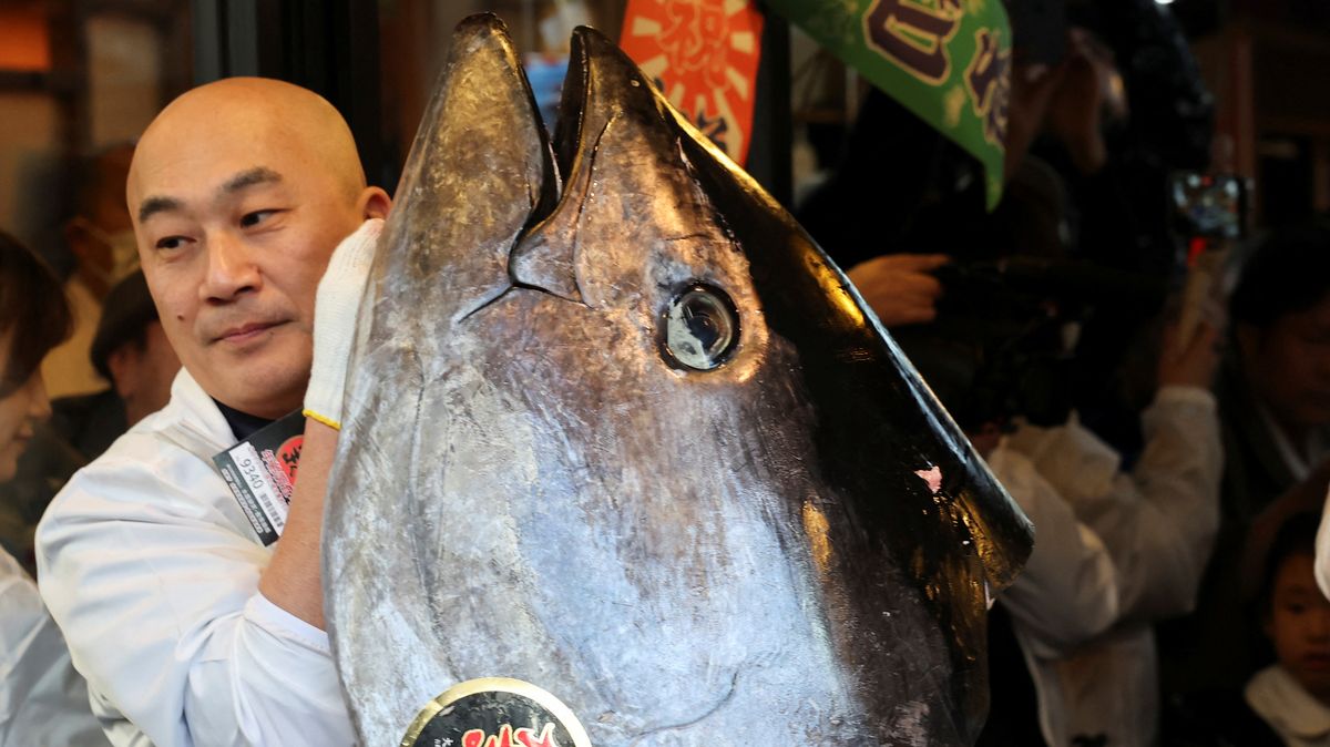 Japonský řetězec suši restaurací zaplatil rekordních 67 milionů korun za tuňáka