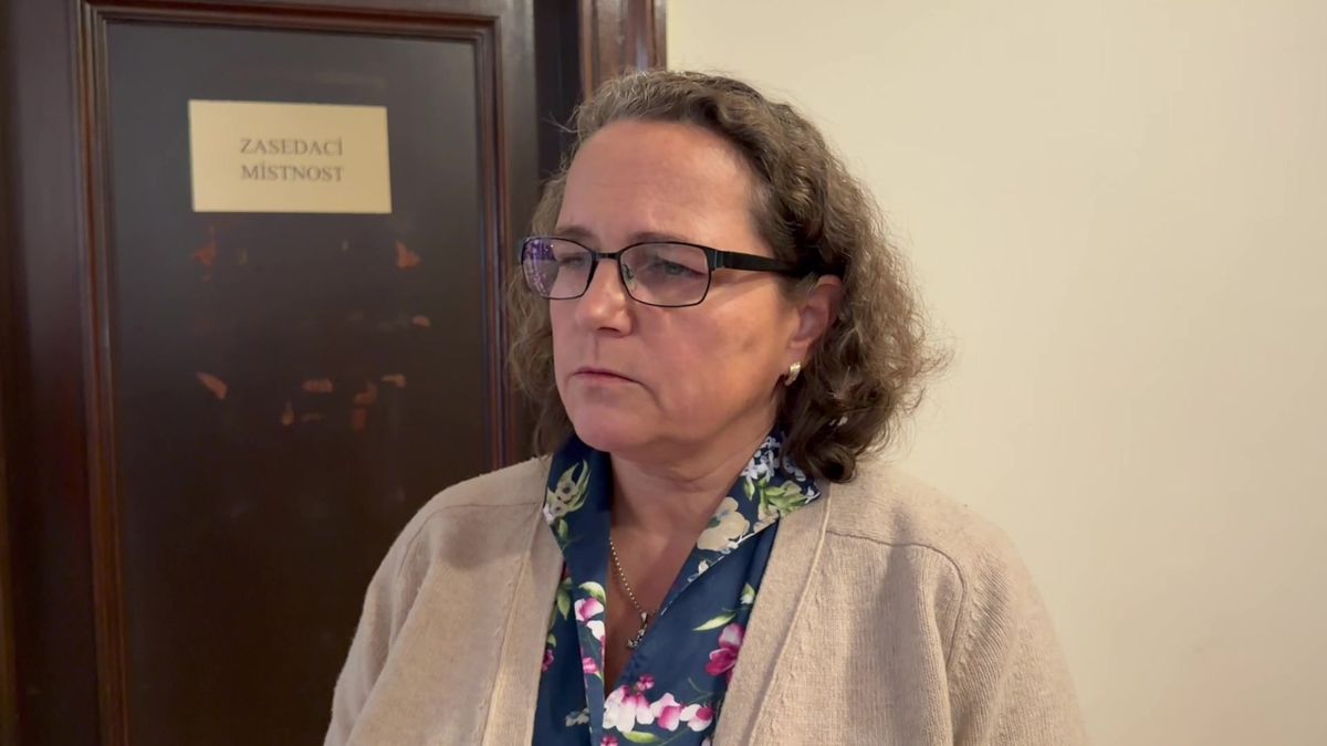 Lékař upozorňoval na bossing i starostku. Rezignovat nechci, říká politička
