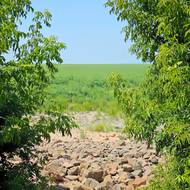 Za kamenným zpevněním břehů bývalé nádrže vyrůstá nový les. Snímek pochází z období červenec–září 2025.