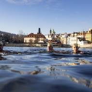 O den později se více než 30 otužilců zúčastnilo tradičního tříkrálového plavání ve Vltavě u Karlova mostu v centru Prahy.