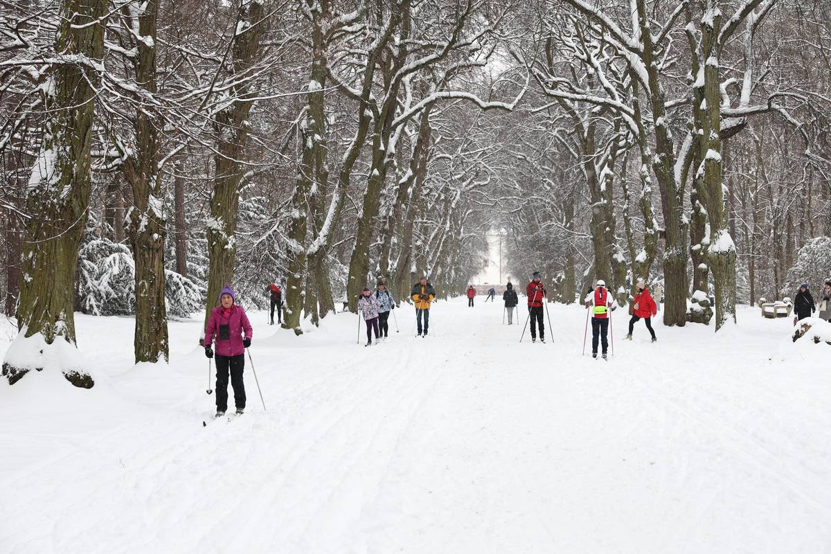 Do Prahy během posledních pár dnů dorazilo pohádkově zimní počasí. 