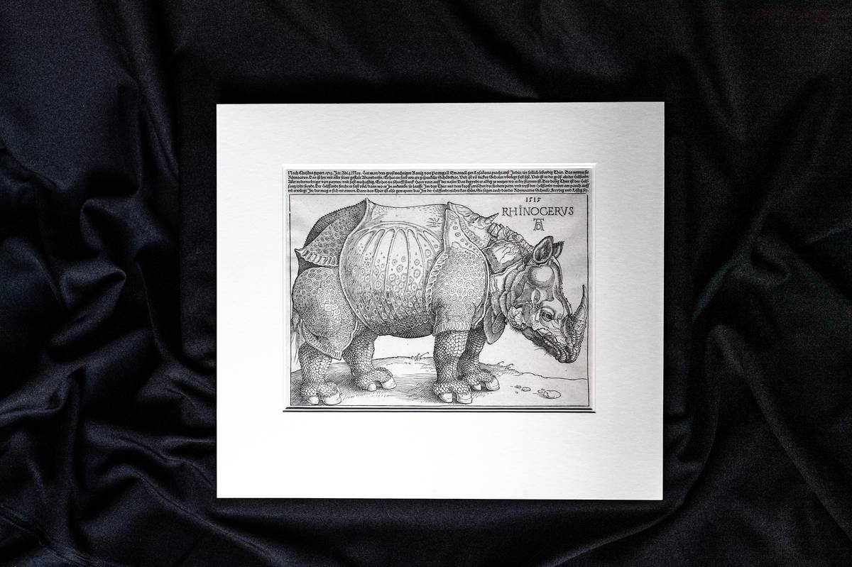 Nosorožec od Albrechta Dürera v Knihovně Akademie věd ČR. 