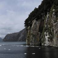 Navrhovaný národní park Cape Froward na Brunšvickém poloostrově v jižním cípu Ameriky by se rozkládal na ploše přibližně 150 tisíc hektarů lesů, rašelinišť, ledovců a pobřeží u Magalhãesově úžiny.