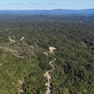 Sousedé se ho snažili zachránit - zastavit proudící krev. „Zvedli mě, sebrali utrženou nohu a odvezli mě do nemocnice,“ popisuje.