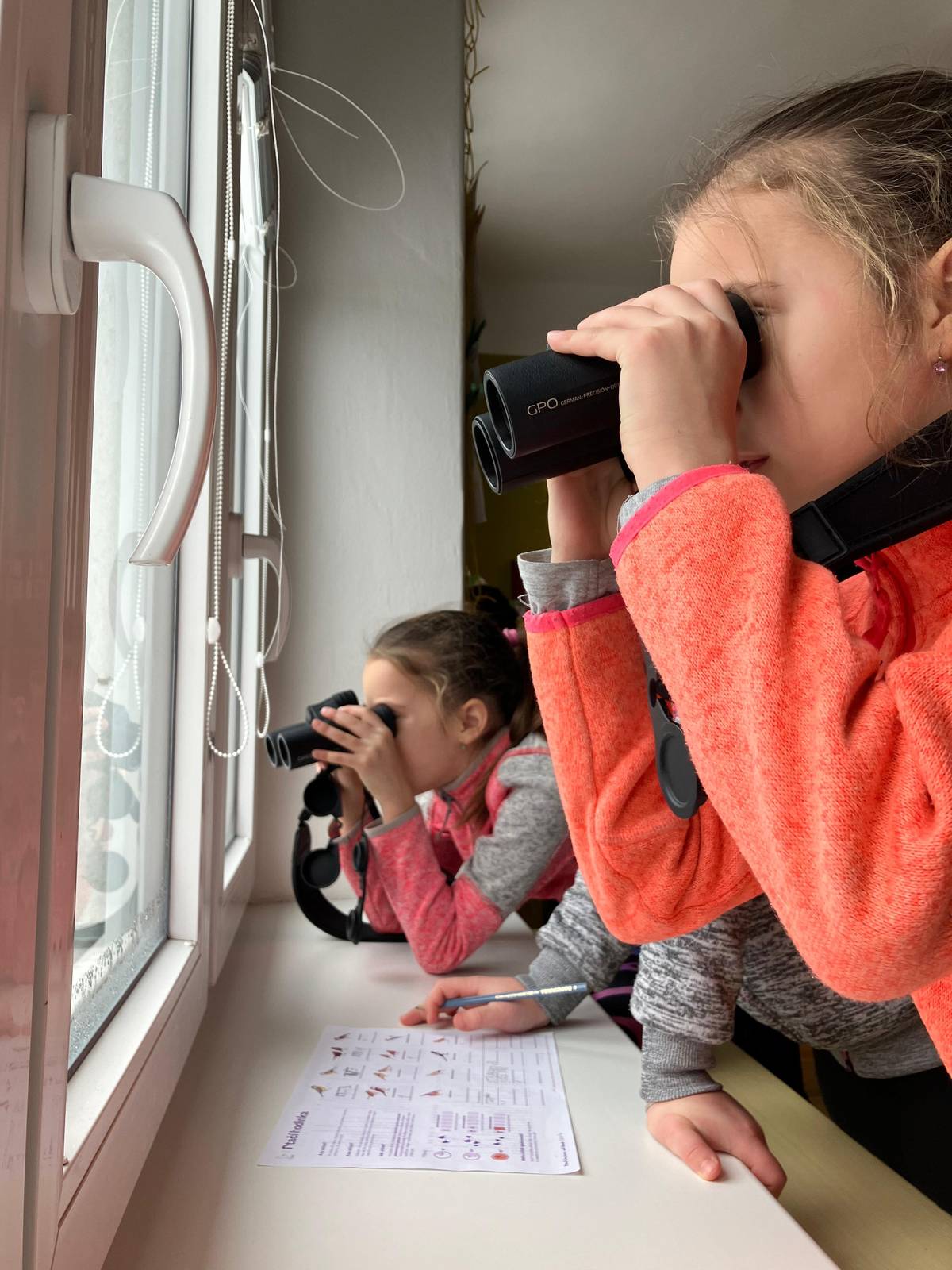 Ptačí hodinka 2026, ZŠ Bohutín u Šumperka.