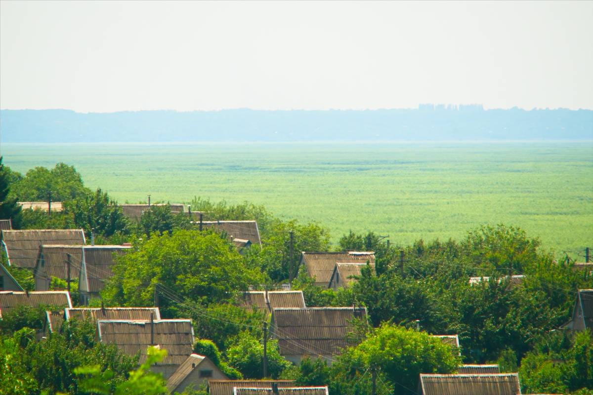 Místo vodní plochy se obyvatelé Malokaterynivky musejí vyrovnávat s novou lesní krajinou. Snímek pochází z období červenec–září 2025.