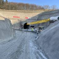 Průzkumná štola u tunelu Kamenná Vrata roste nedaleko Jílového u Prahy.