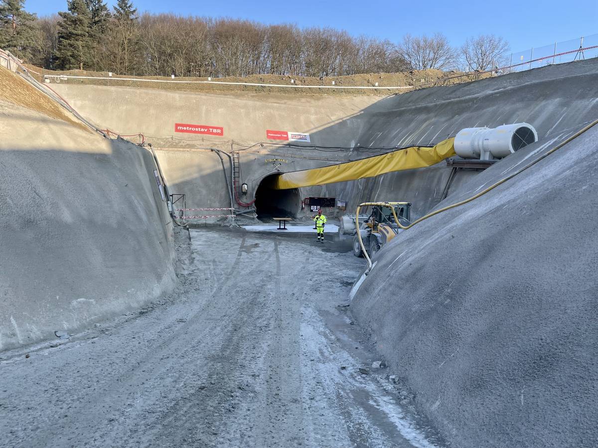 Průzkumná štola u tunelu Kamenná Vrata roste nedaleko Jílového u Prahy.