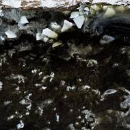 Při oblevě ledové kry splouvají po proudu.