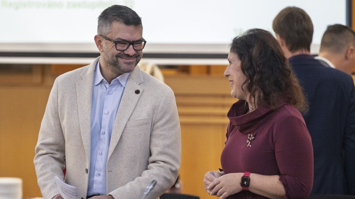 Novým předsedou jihočeské ODS se stal krajský a městský zastupitel Borovka