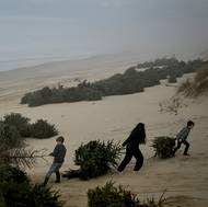 Ekologický projekt řízený Národním lesním úřadem (ONF) používá darované vánoční stromečky k postavení pobřežního valu.