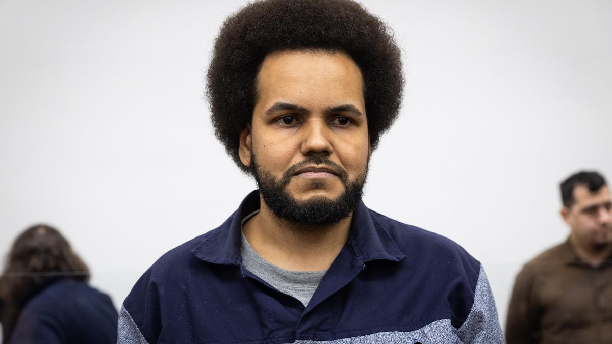 Soud ve Štrasburku se začal zabývat odloženými případy z Feriho kauzy