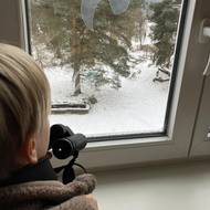 Ptačí hodinka 2026, ZŠ Bohutín u Šumperka.