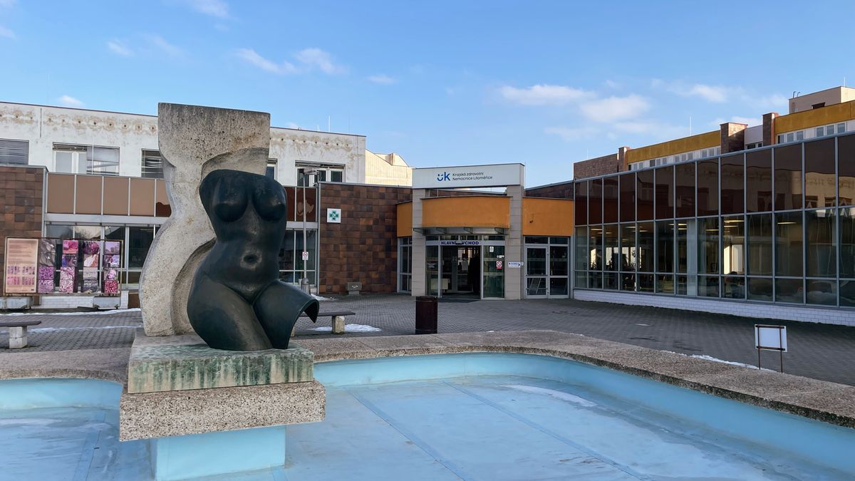 Litoměřická nemocnice používala nástroje, které neměla. Stát spustil kontroly