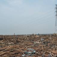 Odborníci tvrdí, že situace v oblasti bydlení v Lagosu je paradoxní: neformální osady se likvidují, aby se mohly postavit luxusní nové domy, které nakonec zůstávají prázdné kvůli prudce rostoucím nájmům.