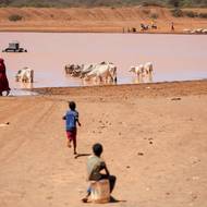 Síť systémů včasného varování před hladomorem nedávno uvedla, že v Keni, Somálsku a Etiopii potřebuje humanitární potravinovou pomoc 20 až 25 milionů lidí, z toho více než polovina kvůli suchu.